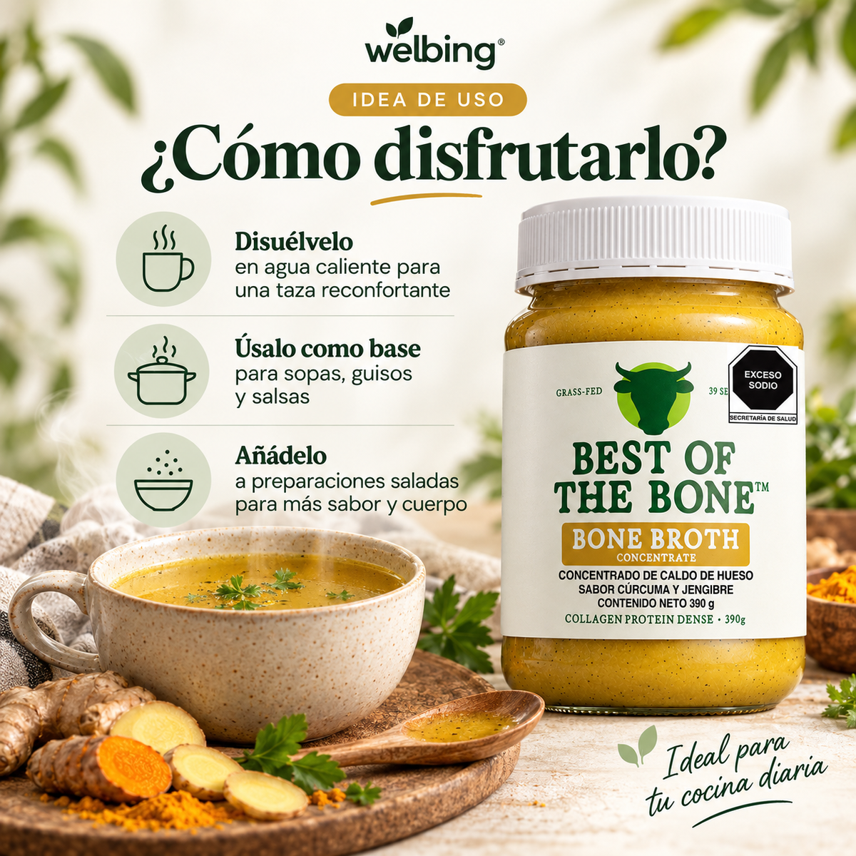 Caldo de Hueso de Res