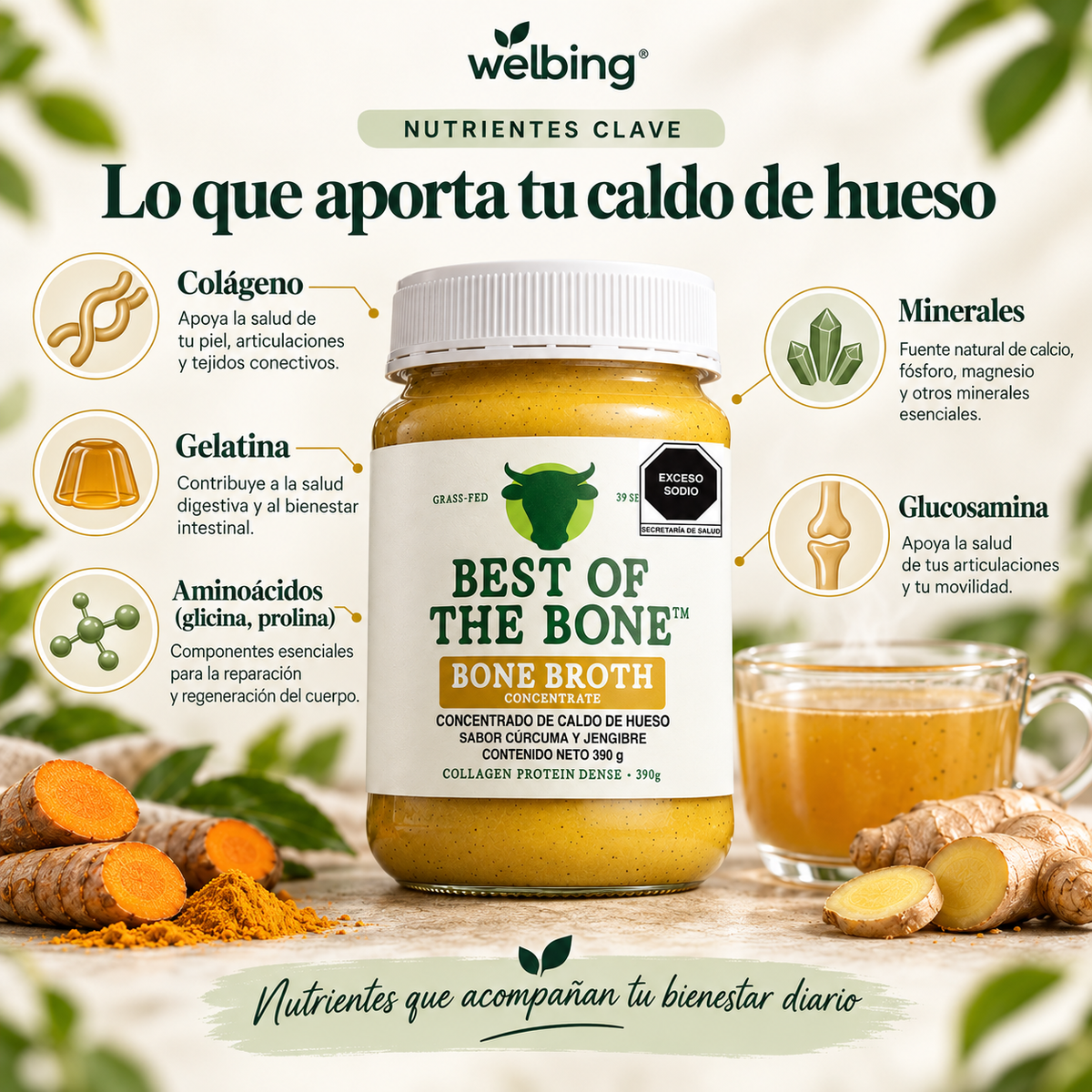 Caldo de Hueso de Res