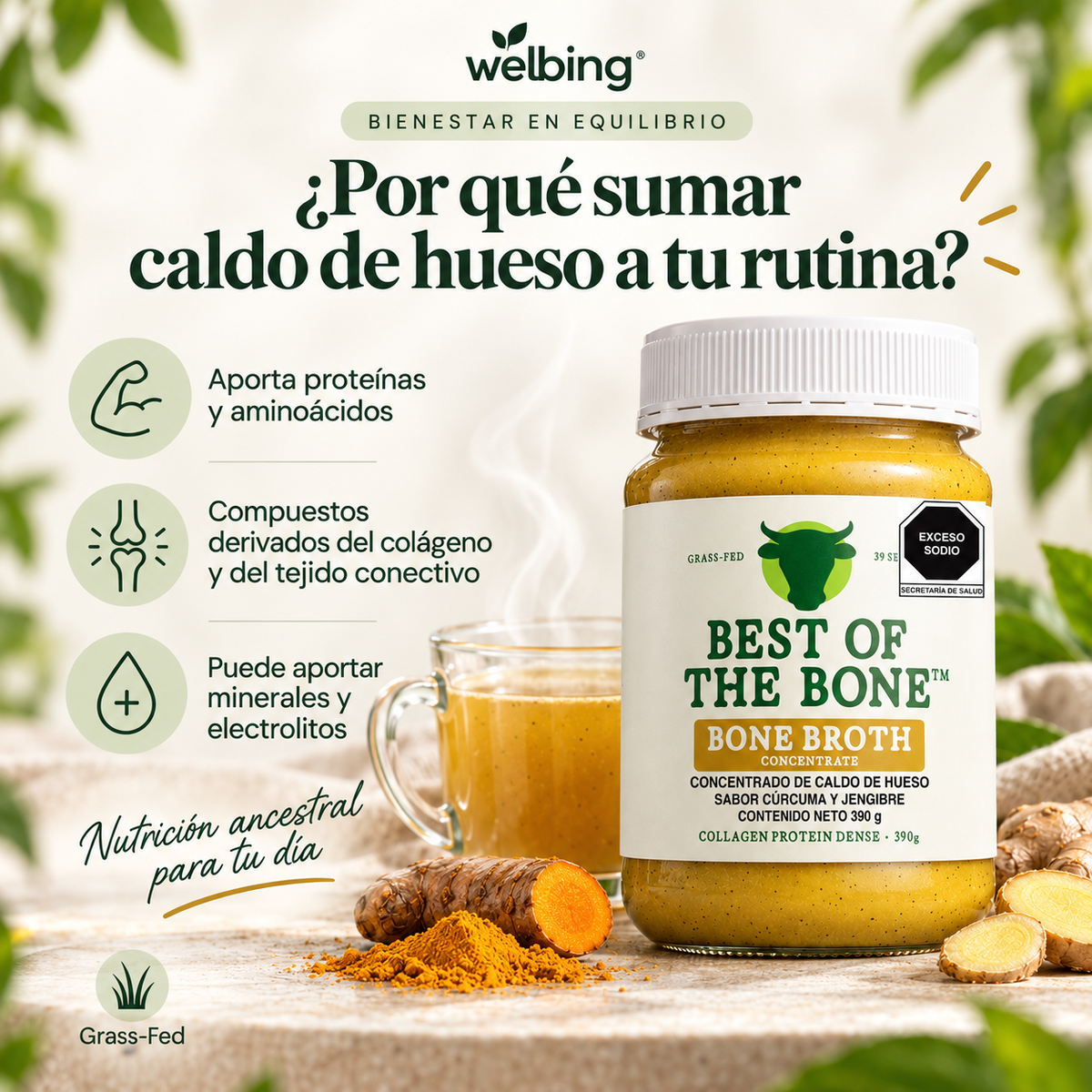 Caldo de Hueso de Res