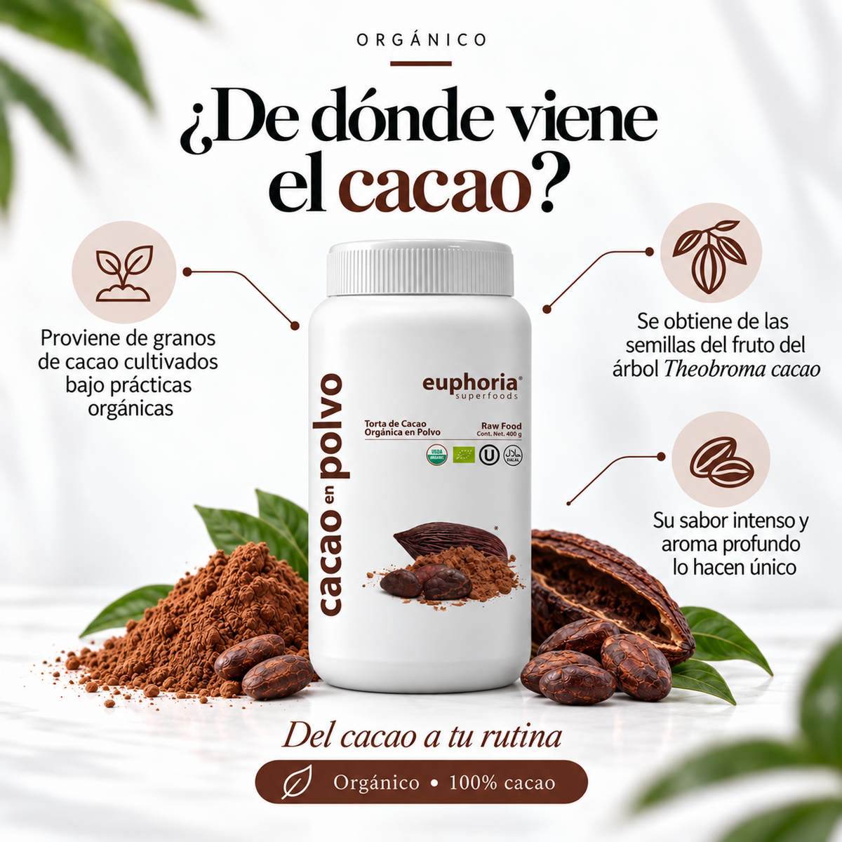 Formas de disfrutar el cacao