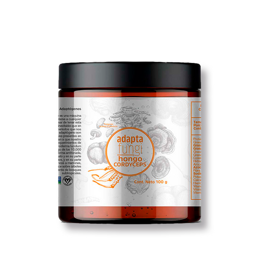 Hongo Cordyceps