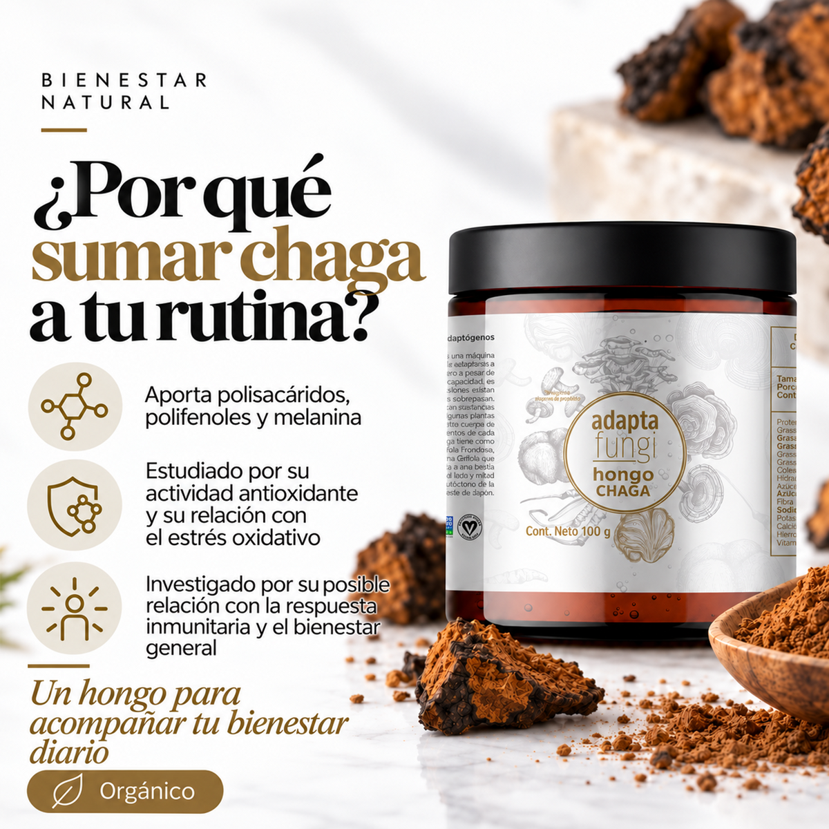Hongo Chaga