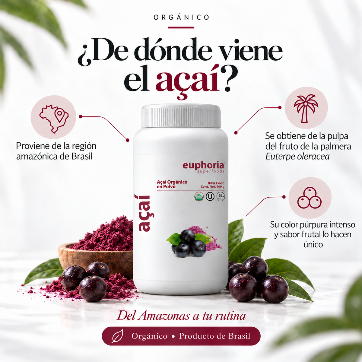 Açaí Orgánico