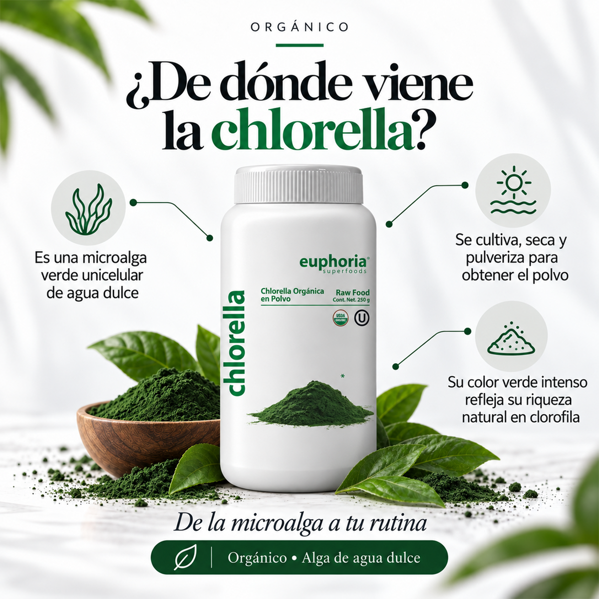 Chlorella Orgánica