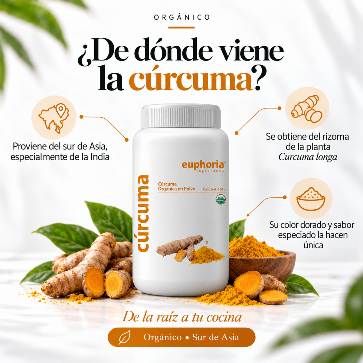 Cúrcuma Orgánico