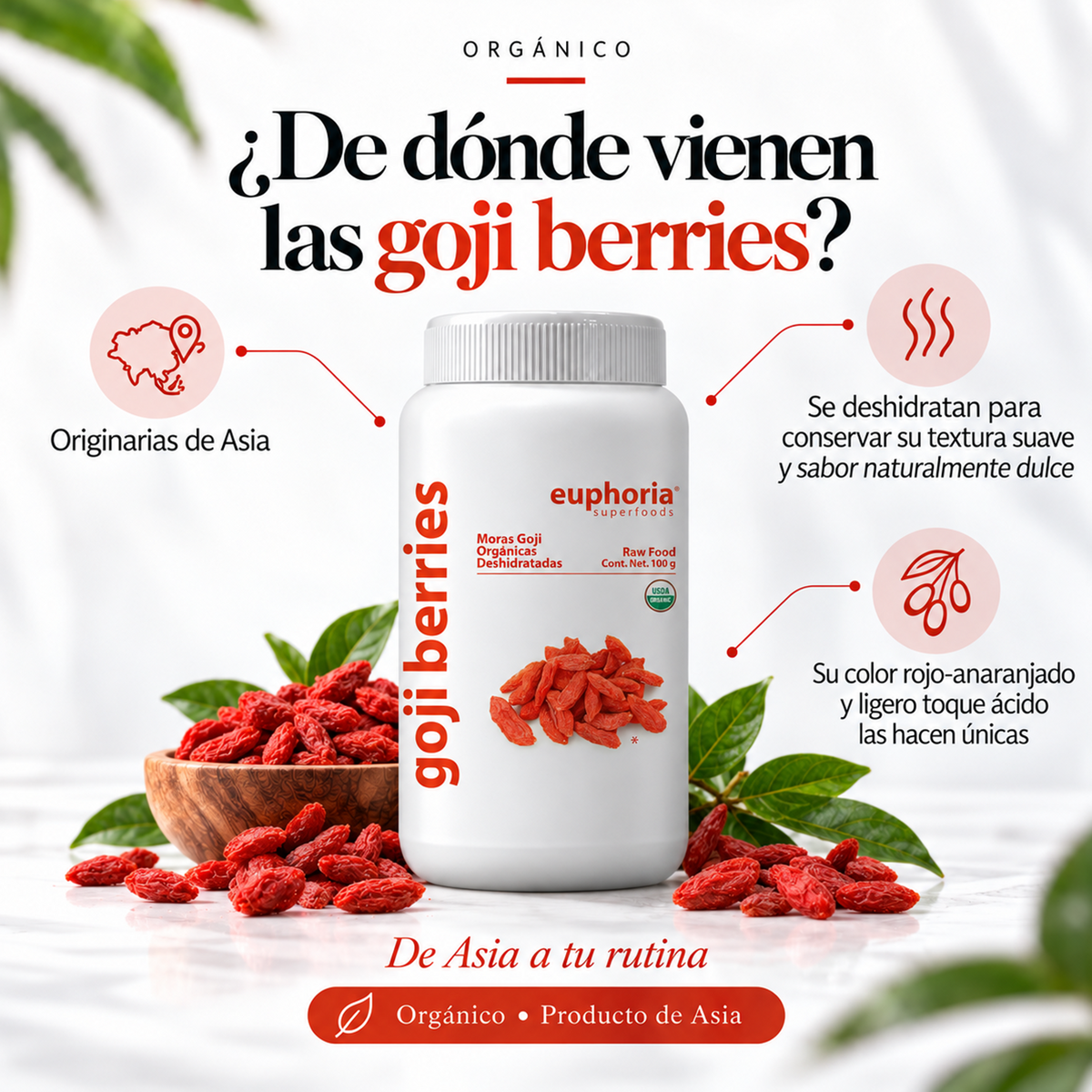 Goji Berries Orgánicos