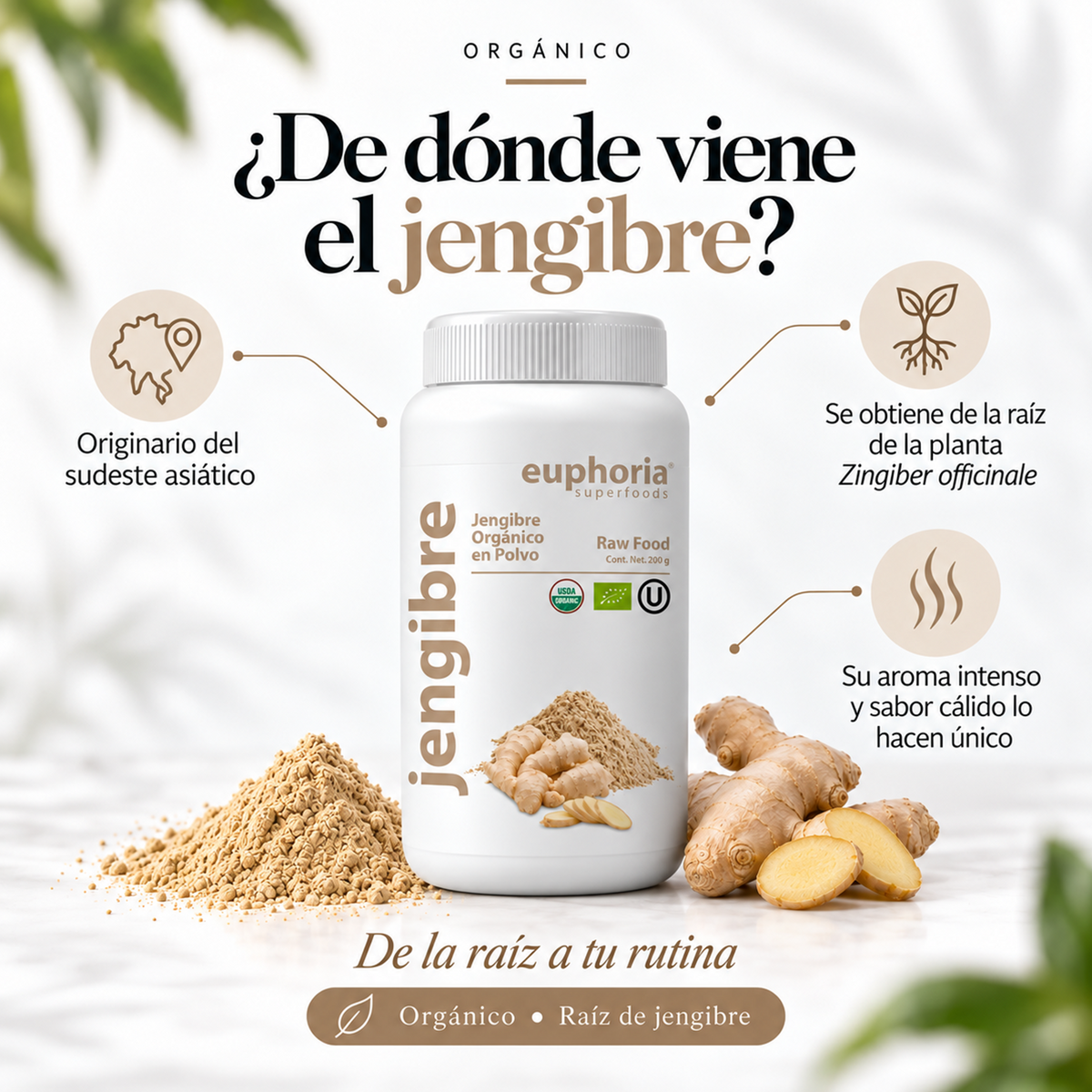 Jengibre Orgánico