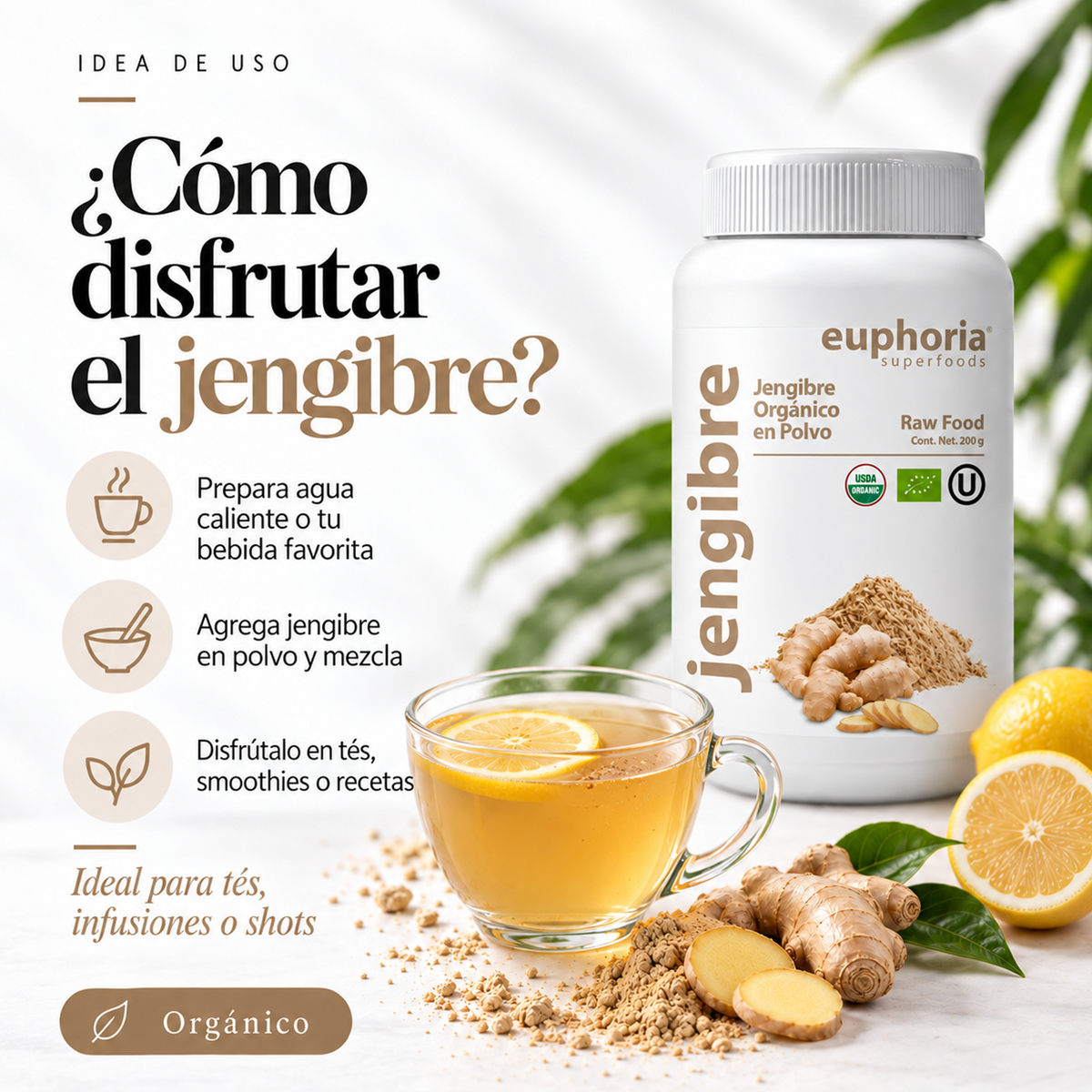 Jengibre Orgánico