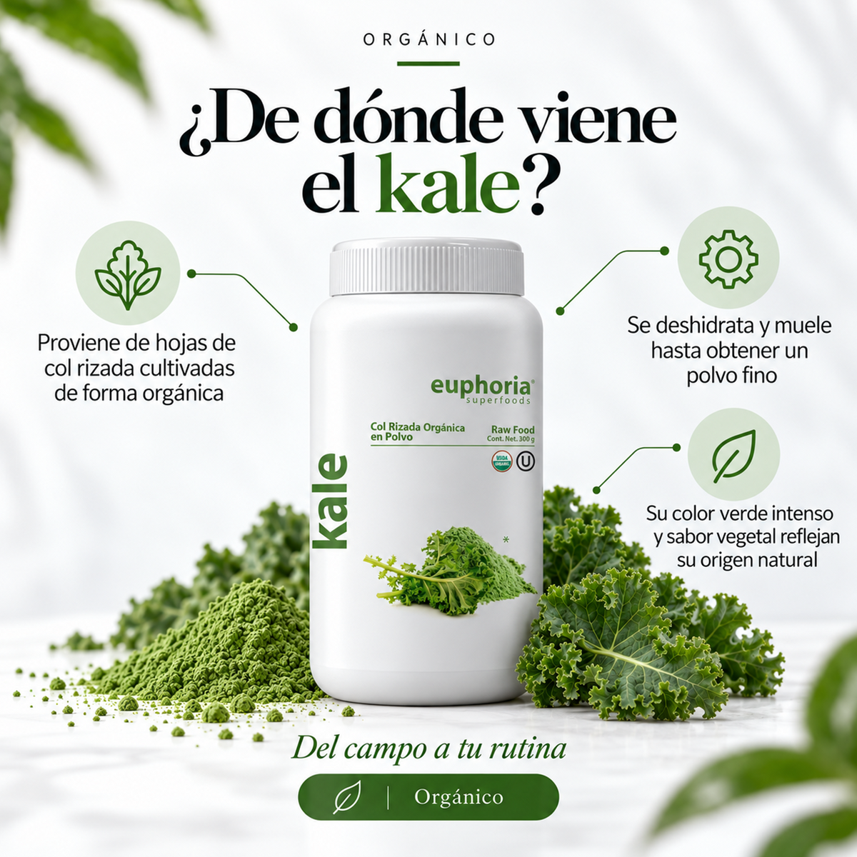 Kale Orgánico