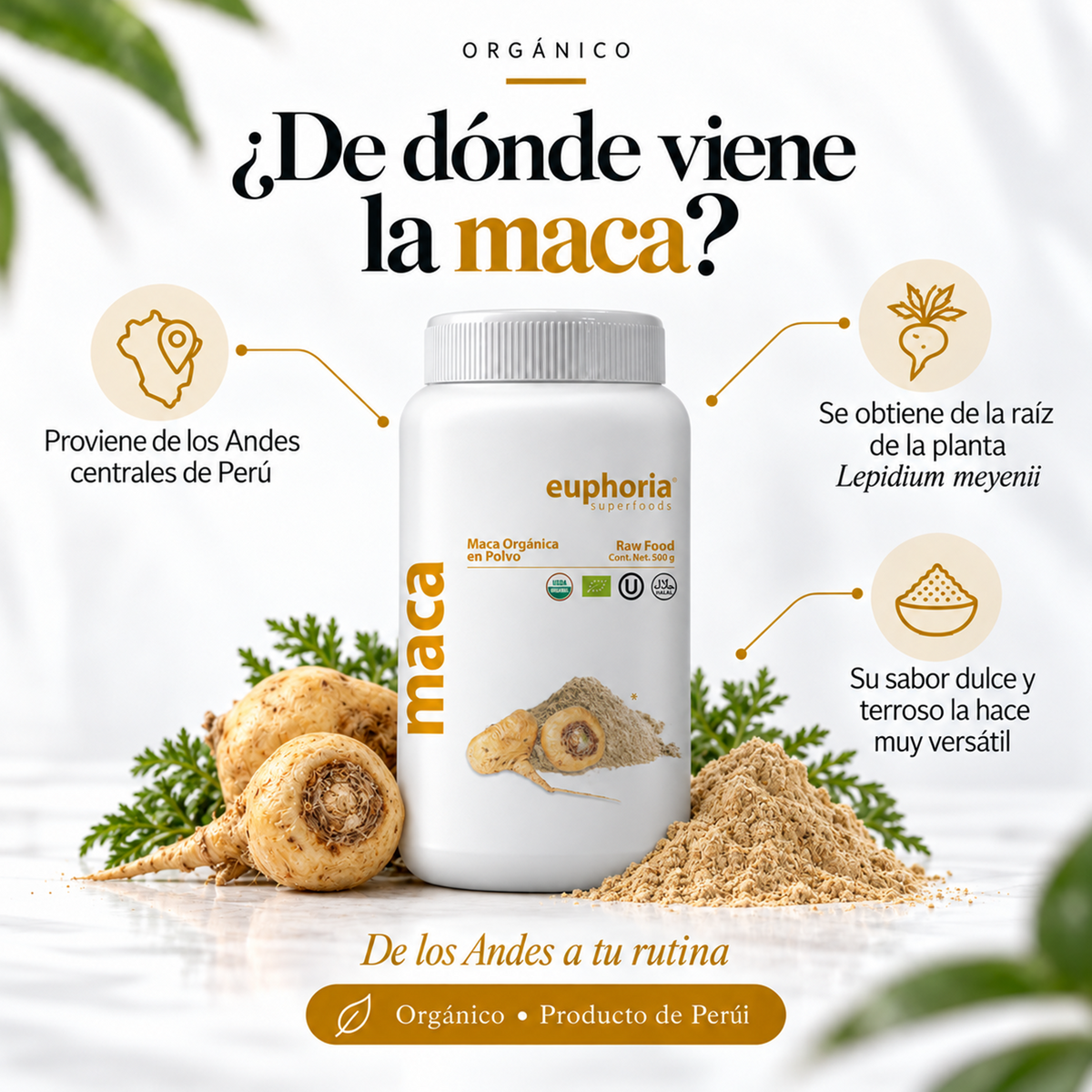 Maca Orgánica