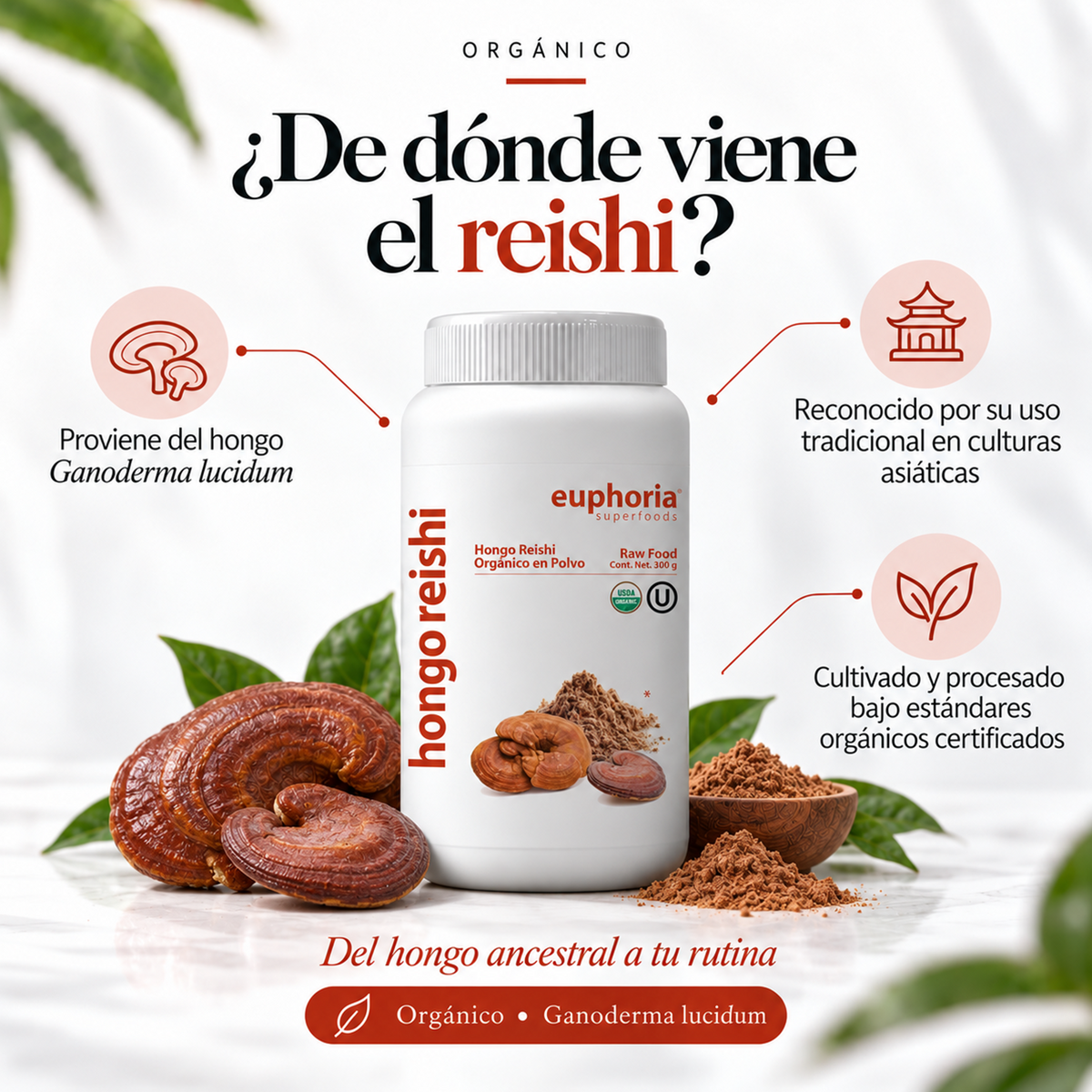 Hongo Reishi Orgánico