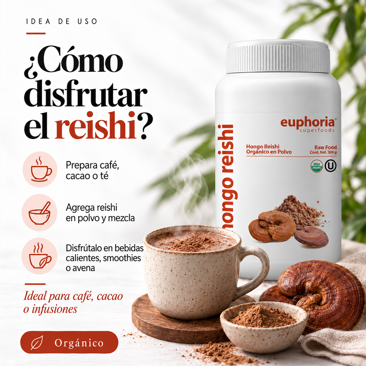 Hongo Reishi Orgánico