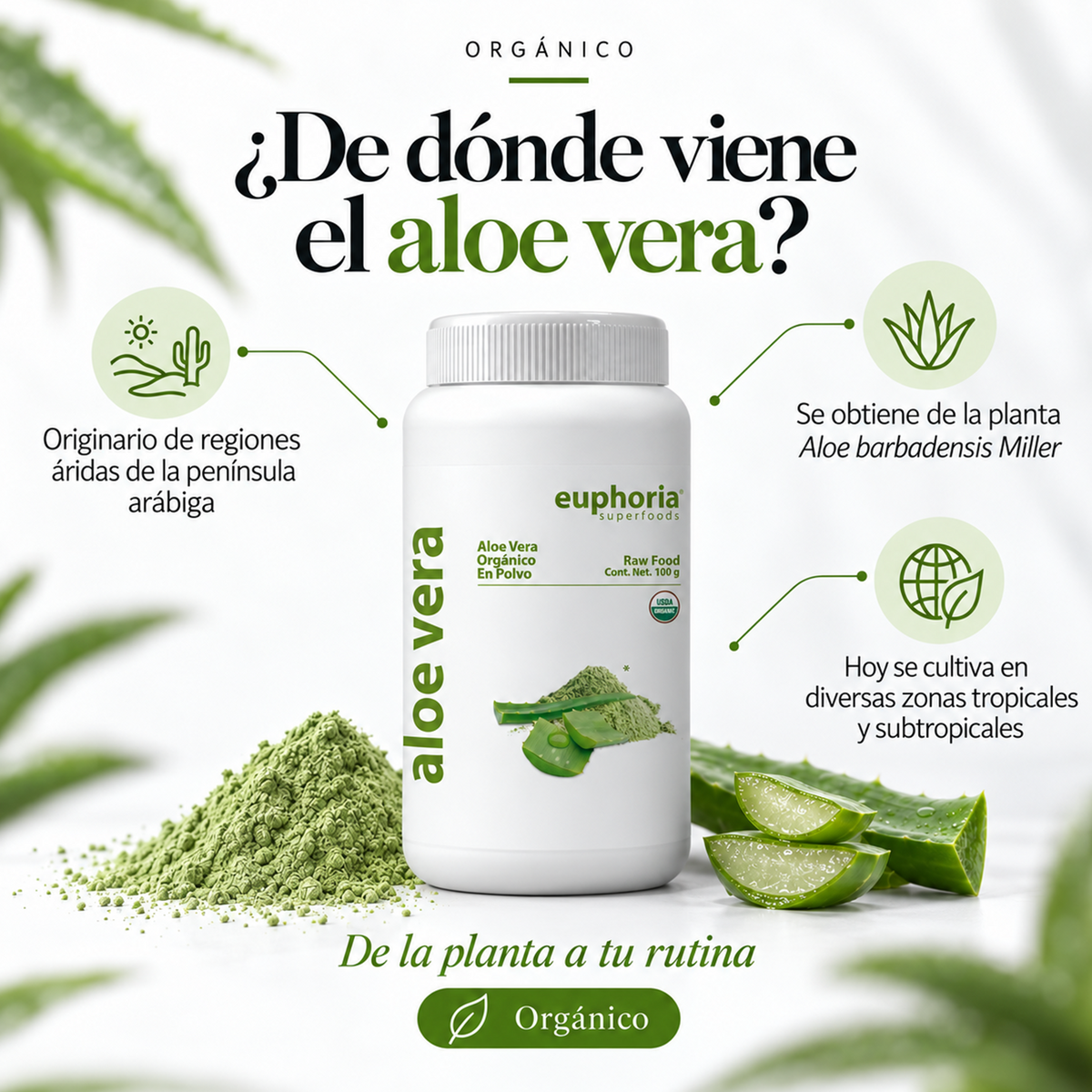 Aloe Vera Orgánico