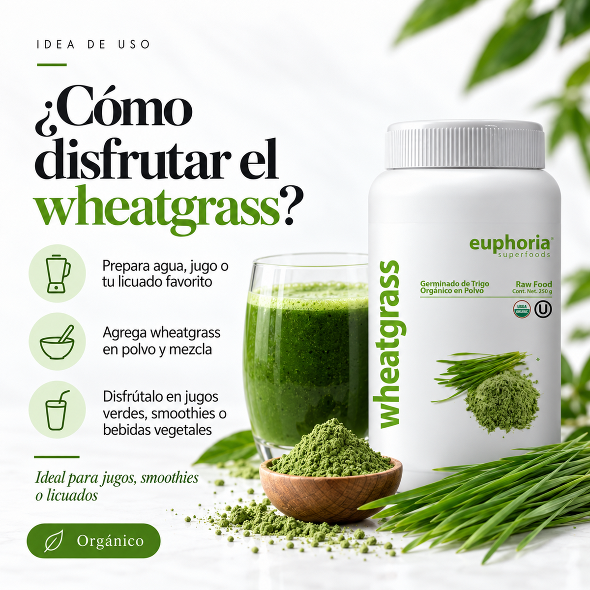 Wheatgrass Orgánico