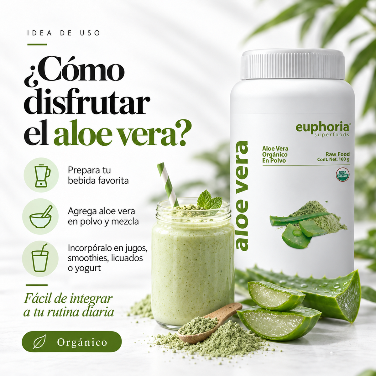 Aloe Vera Orgánico